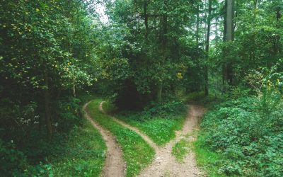 Supporting Yourself or a Friend Through a Midlife Separation: Practical Help for Women
